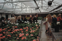 Haskell L. Roach Greenhouse, Open House.