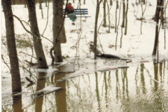 Roland E. Coomer Park