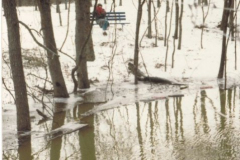 Roland E. Coomer Park