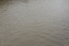 Duck Creek at Central Park During Heavy Rains