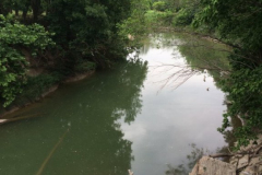 Rowlett Creek By Ben Davis Road Bridge