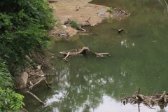 Rowlett Creek By Ben Davis Road Bridge