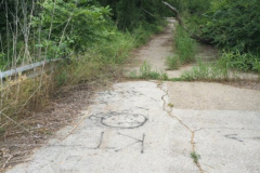 Ben Davis Road, Firewheel area