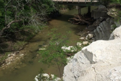 Spring Creek Forest Preserve
