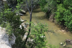 Spring Creek Forest Preserve