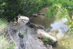 Spring Creek Forest Preserve