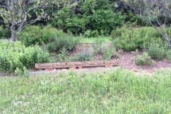 Spring Creek Forest Preserve