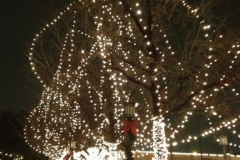 Down Square at Christmas, 2012