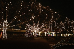 Down Square at Christmas, 2012