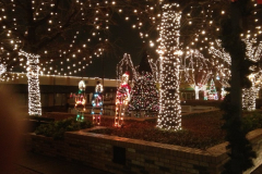 Down Square at Christmas, 2012