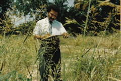 City worker (Code enforcement? )