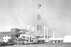 C.E. Newman Electric Plant