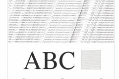 Official Flag of the City of Garland