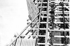 City Greenhouse under construction, circa 1969-1971