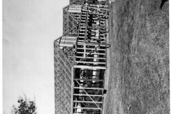 City Greenhouse under construction, circa 1969-1971
