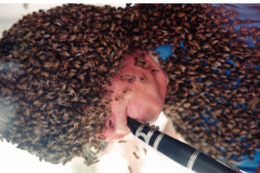 Star Spangled Fourth 1999 - Musician playing clarinet while covered with bees